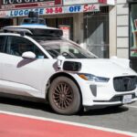 Redes sociais lamentam querido gato atropelado por carro Waymo