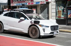 Redes sociais lamentam querido gato atropelado por carro Waymo Redes sociais lamentam querido gato atropelado por carro Waymo