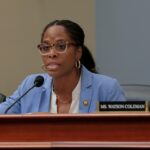 Republicanos que votaram contra a censura de Plaskett em meio à reação de Epstein