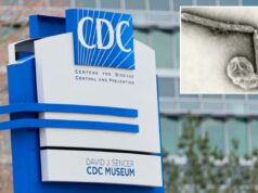 Residente de Washington considerado o primeiro a morrer de cepa rara de gripe aviária Acredita-se que um residente do estado de Washington seja a primeira pessoa a morrer de uma cepa rara de gripe aviária, mas as autoridades de saúde do estado disseram na sexta-feira que o risco para o público é baixo.