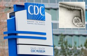 Residente de Washington considerado o primeiro a morrer de cepa rara de gripe aviária Acredita-se que um residente do estado de Washington seja a primeira pessoa a morrer de uma cepa rara de gripe aviária, mas as autoridades de saúde do estado disseram na sexta-feira que o risco para o público é baixo.