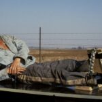 Retrospectiva de Paul Newman, zelo na programação mantém o Festival de Cinema de Torino jovem no coração