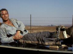 Retrospectiva de Paul Newman, zelo na programação mantém o Festival de Cinema de Torino jovem no coração Retrospectiva de Paul Newman, zelo na programação mantém o Festival de Cinema de Torino jovem no coração