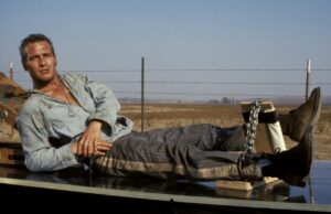 Retrospectiva de Paul Newman, zelo na programação mantém o Festival de Cinema de Torino jovem no coração Retrospectiva de Paul Newman, zelo na programação mantém o Festival de Cinema de Torino jovem no coração