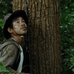 We Are the Fruits of the Forest