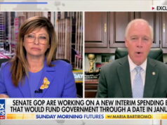 Ron Johnson ofereceu sua opinião sobre a crise dos controladores de tráfego aéreo. Yahoo news home