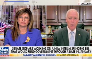 Ron Johnson ofereceu sua opinião sobre a crise dos controladores de tráfego aéreo. Yahoo news home