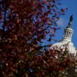 Senado dos EUA aprova projeto de lei para acabar com paralisação governamental mais longa da história