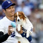 A estrela do beisebol do Los Angeles Dodgers, Shohei Ohtani, surpreendeu seus fãs ao anunciar que é casado em 183