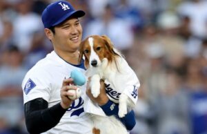 Shohei Ohtani beijou seu cachorro em vez de sua esposa depois de ganhar o prêmio MVP A estrela do beisebol do Los Angeles Dodgers, Shohei Ohtani, surpreendeu seus fãs ao anunciar que é casado em 183