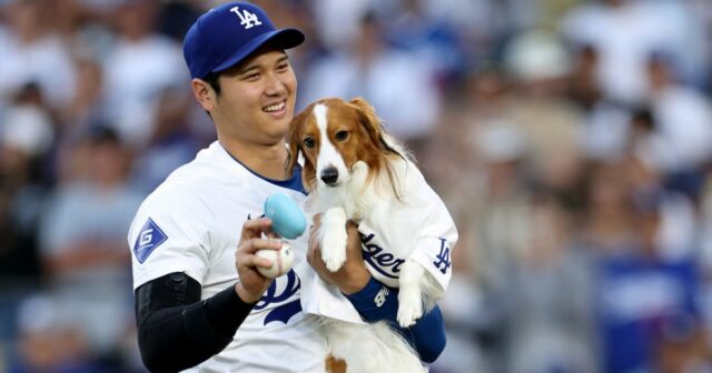 Shohei Ohtani beijou seu cachorro em vez de sua esposa A estrela do beisebol do Los Angeles Dodgers, Shohei Ohtani, surpreendeu seus fãs ao anunciar que é casado em 183