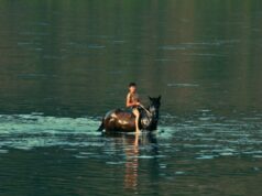 ‘Silent Flood’, documentário sobre uma comunidade religiosa na Ucrânia, abordado pelo Filmor antes da estreia do IDFA (EXCLUSIVO) 'Silent Flood', documentário sobre uma comunidade religiosa na Ucrânia, abordado pelo Filmor antes da estreia do IDFA (EXCLUSIVO)