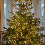 Sir David Beckham deixou os fãs em estado de choque ao recriar seu momento viral de 'seja honesto' em seu documentário da Netflix, depois de duvidar que sua esposa Victoria decorou sua árvore de Natal