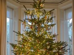 Sir David Beckham recria seu momento viral de ‘seja honesto’ depois que a duvidosa esposa Victoria decorou sua árvore de Natal em uma casa de £ 31,5 milhões em Londres Sir David Beckham deixou os fãs em estado de choque ao recriar seu momento viral de 'seja honesto' em seu documentário da Netflix, depois de duvidar que sua esposa Victoria decorou sua árvore de Natal