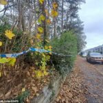 Mohammed Fathi Eltbie, 24, é acusado de atacar a mulher em uma área perto da Maxwell Road (foto) na quarta-feira