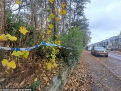 Solicitante de asilo do Egito reprovado é detido sob custódia acusado de estuprar mulher de 30 anos em uma floresta de Bournemouth Mohammed Fathi Eltbie, 24, é acusado de atacar a mulher em uma área perto da Maxwell Road (foto) na quarta-feira