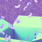 Sou editor de tecnologia e estas são as melhores ofertas de tecnologia da Black Friday no momento