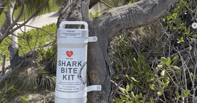 Surfistas e sobreviventes pedem kits de mordida de tubarão que Surfistas e sobreviventes pedem kits de mordida de tubarão que salvam vidas em todas as praias australianas