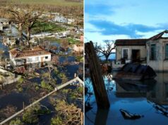 Surto mortal de leptospirose atinge a Jamaica após a devastação do furacão Melissa Surto mortal de leptospirose atinge a Jamaica após a devastação do furacão Melissa