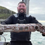 Uma pilha de materiais de pesca, principalmente linhas de pesca e iscas, é apresentada em cima de bolsas de mergulho laranja brilhante.