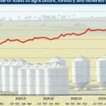 Taxas e novos equipamentos aumentam a dívida agrícola para US$ 135 bilhões, mas surpresas contam outra história
