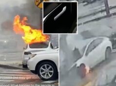 Tesla processou a queda do Modelo 3 que ‘explodiu em um incêndio violento’, matando 1 Tesla processou a queda do Modelo 3 que 'explodiu em um incêndio violento', matando 1