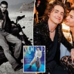 Timothée Chalamet sugere o próximo passo importante no relacionamento de Kylie Jenner em entrevista discreta