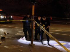 Tiroteio em supermercado de São Francisco deixa cinco feridos Tiroteio em supermercado de São Francisco deixa cinco feridos