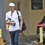 tom brady novo cachorro backgrid principal