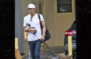 Tom Brady revela que clonou seu cachorro tom brady novo cachorro backgrid principal