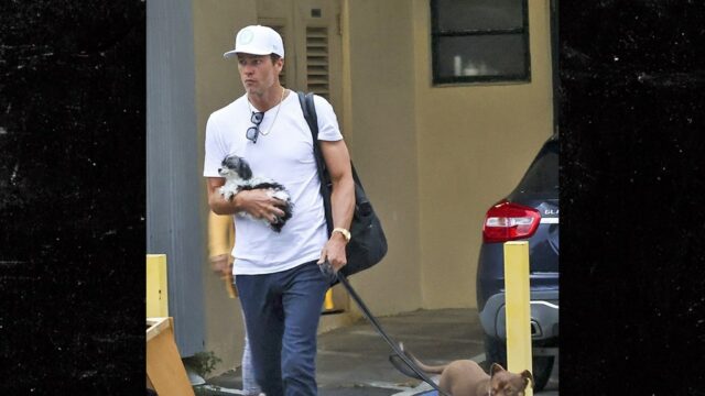 tom brady novo cachorro backgrid principal