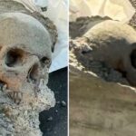 Trabalhadores encontram 'crânio' envolto em concreto no cais de Boston, gerando temores de ataque à multidão