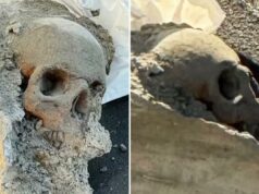 Trabalhadores encontram ‘crânio’ envolto em concreto no cais de Boston, gerando temores de ataque à multidão Trabalhadores encontram 'crânio' envolto em concreto no cais de Boston, gerando temores de ataque à multidão