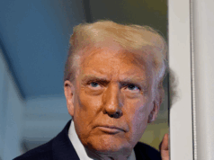 Trump: Democratas desviando-se para a farsa de Epstein para distrair sua paralisação Trump: Democratas desviando-se para a farsa de Epstein para distrair sua paralisação
