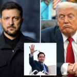 Trump critica a falta de “gratidão” da Ucrânia após o plano de paz apoiado pela Casa Branca para acabar com a guerra com a Rússia