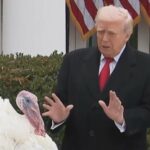 Trump perdoa perus no Dia de Ação de Graças