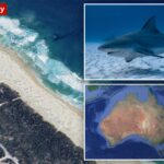 Tubarão mata mulher e fere gravemente outro nadador em praia australiana