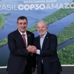 ADELAIDE, AUSTRÁLIA - 13 DE JULHO: Um pargo macho aparece na praia de Glenelg em 13 de julho de 2025 em Adelaide, Austrália. Uma proliferação de algas tóxicas tem levado criaturas marinhas mortas e moribundas ao longo da costa sul da Austrália desde meados de março e foi detectada pela primeira vez na Península Fleurieu e na Ilha Kangaroo do estado. O desastre ecológico está a matar grandes áreas da vida marinha de uma vasta gama de espécies, incluindo golfinhos, tubarões e espécies marinhas raras que nem sempre são observadas. (Foto de Tracey Nearmy/Getty Images)