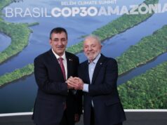 Turkiye sediará cúpula climática COP31 após Austrália admitir candidatura ADELAIDE, AUSTRÁLIA - 13 DE JULHO: Um pargo macho aparece na praia de Glenelg em 13 de julho de 2025 em Adelaide, Austrália. Uma proliferação de algas tóxicas tem levado criaturas marinhas mortas e moribundas ao longo da costa sul da Austrália desde meados de março e foi detectada pela primeira vez na Península Fleurieu e na Ilha Kangaroo do estado. O desastre ecológico está a matar grandes áreas da vida marinha de uma vasta gama de espécies, incluindo golfinhos, tubarões e espécies marinhas raras que nem sempre são observadas. (Foto de Tracey Nearmy/Getty Images)