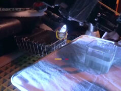 Um canhão, moedas cunhadas à mão e um vaso: os primeiros artefatos recuperados do galeão San José Yahoo news home