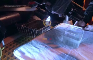 Um canhão, moedas cunhadas à mão e um vaso: os primeiros artefatos recuperados do galeão San José Yahoo news home