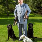 Um fugiu com o faz-tudo, outro se casou com o afilhado da rainha... enquanto os 17 gatos de um terceiro provaram ser demais: o que aconteceu com os outros amantes exigentes do Baronete quando ele lançou uma oferta para encontrar uma esposa de 'bom criador'