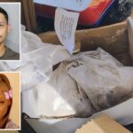 Um homem da Flórida supostamente jogou os restos mortais cremados da mãe de quatro filhos ao lado de 500 libras de lixo na beira da estrada