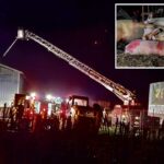 Bombeiros apagam um incêndio em Wells Farm à noite.