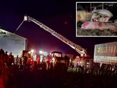 Um incêndio devastador atinge a histórica fazenda de Long Island, matando dezenas de animais e ferindo a família que tentou salvá-los Bombeiros apagam um incêndio em Wells Farm à noite.