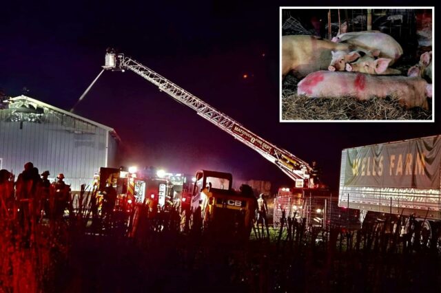 Bombeiros apagam um incêndio em Wells Farm à noite.