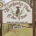 Close nas costelas de churrasco