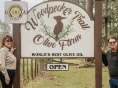 Uma das rotas turísticas planejadas mais antigas da América serpenteia pelas lindas florestas e cidades encantadoras da Geórgia Close nas costelas de churrasco