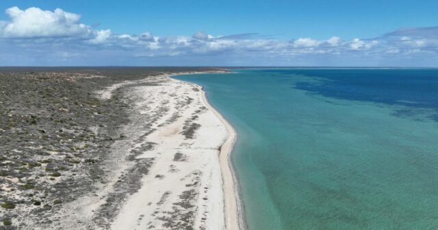 Uma oportunidade de garantir uma fatia da deslumbrante propriedade costeira de Shark Bay

