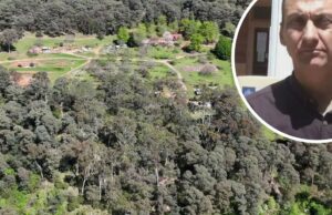 Único tiro ouvido no mato após a fuga de Dezi Freeman Foto aérea de Porepunkah